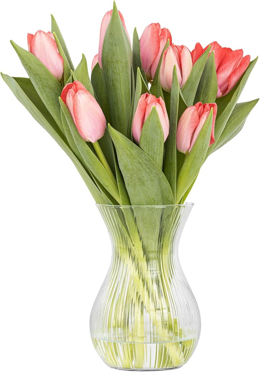 SnelShoppen - Luminous Flower Vase 18 cm - Tulpenvaas van Glas - Decoratieve Vaasje met Langitudinale Strepen - Transparant Glazen Bloemenvase voor Me