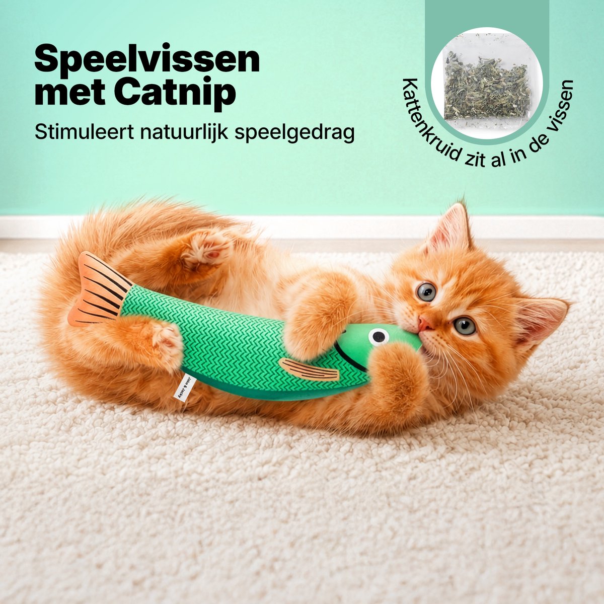 LG Jake and Jacky Kattenspeelgoed met Catnip - 22cm thumbnail 2