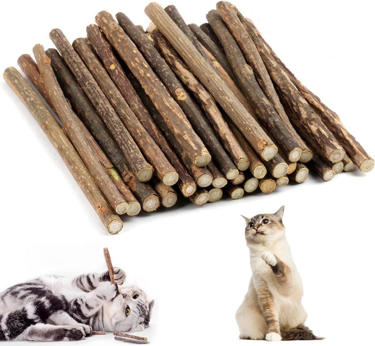 Thijox - 32 Stuks Kattenkauwhouten Sticks - Natuurlijk Kattenspeelgoed voor Tandverzorging - Verfris de Adem - Veilig voor Katten - Set van 32