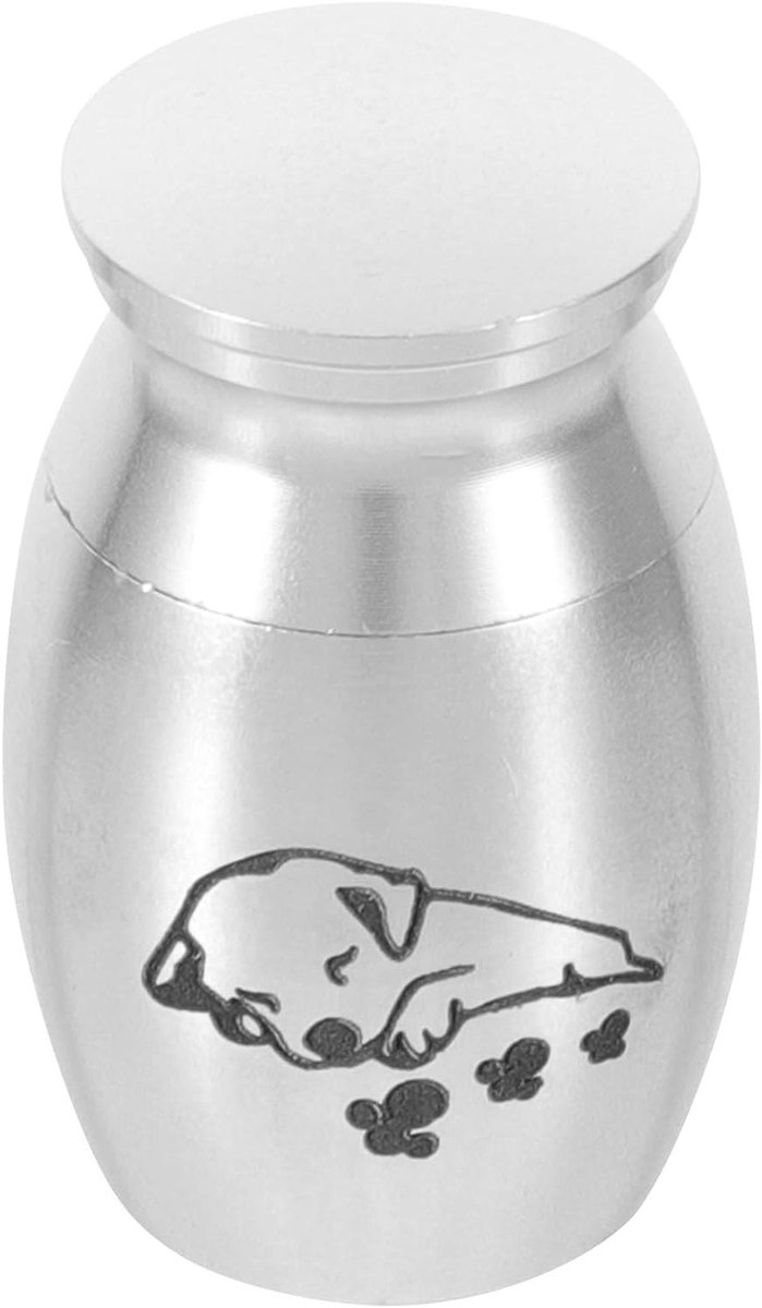 Huisdier Urn - Gedenkdoos Ascontainer - Herinneringen Bewaren - Luchtdichte Schroefdeksel - 2.5 cm - Zilver