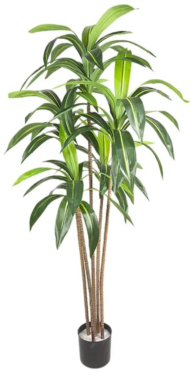ITRONIQ Kunst Drakenboom 165 cm - Kunstplant Dracaena Met Realistische Stam en Bladeren - Onderhoudsvrij - Inclusief Pot - Groen