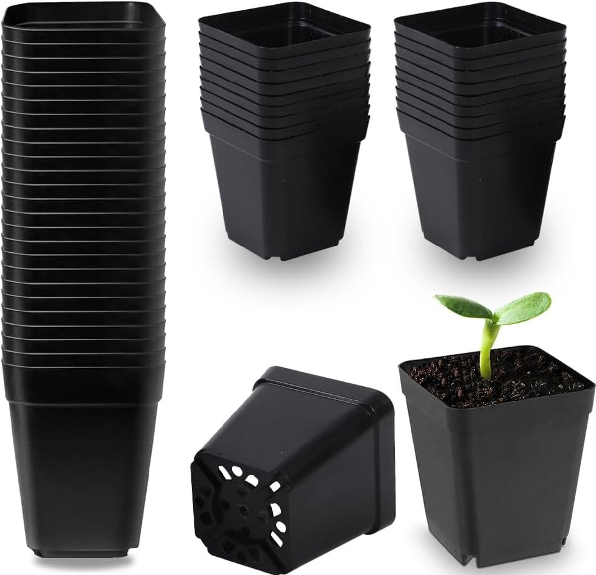 50 Stuks 5,5 cm Zwarte Plastic Vierkante Potten voor Zaailingen, Succulenten en Stekken, Ideaal voor Verplanten