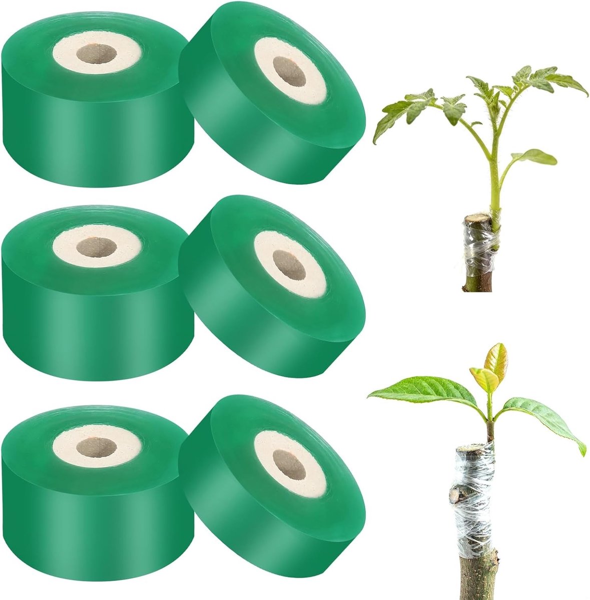 6 Rollen Kweekband voor Fruitbomen, Rekbare Beschermingstape voor Boomgaarden (2cm, 3cm) voor Optimale Groei en Oogst