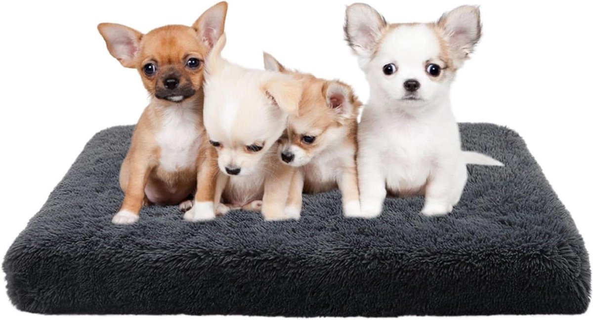 Hondenmand - Honden kussen - Rustgevend slapen - Antislip bodem - 100 x 60 cm - Grijs