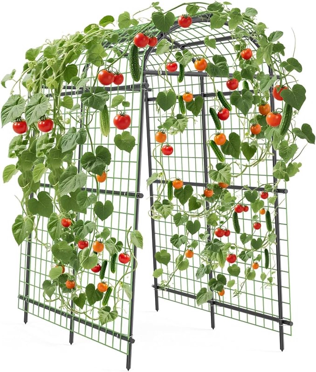 Triumpunpre boogklimrek PE+ijzer met kruisclips en 9 dwarsbuizen (115×183×230cm), ondersteuning voor klimgroenten en klimbloemen
