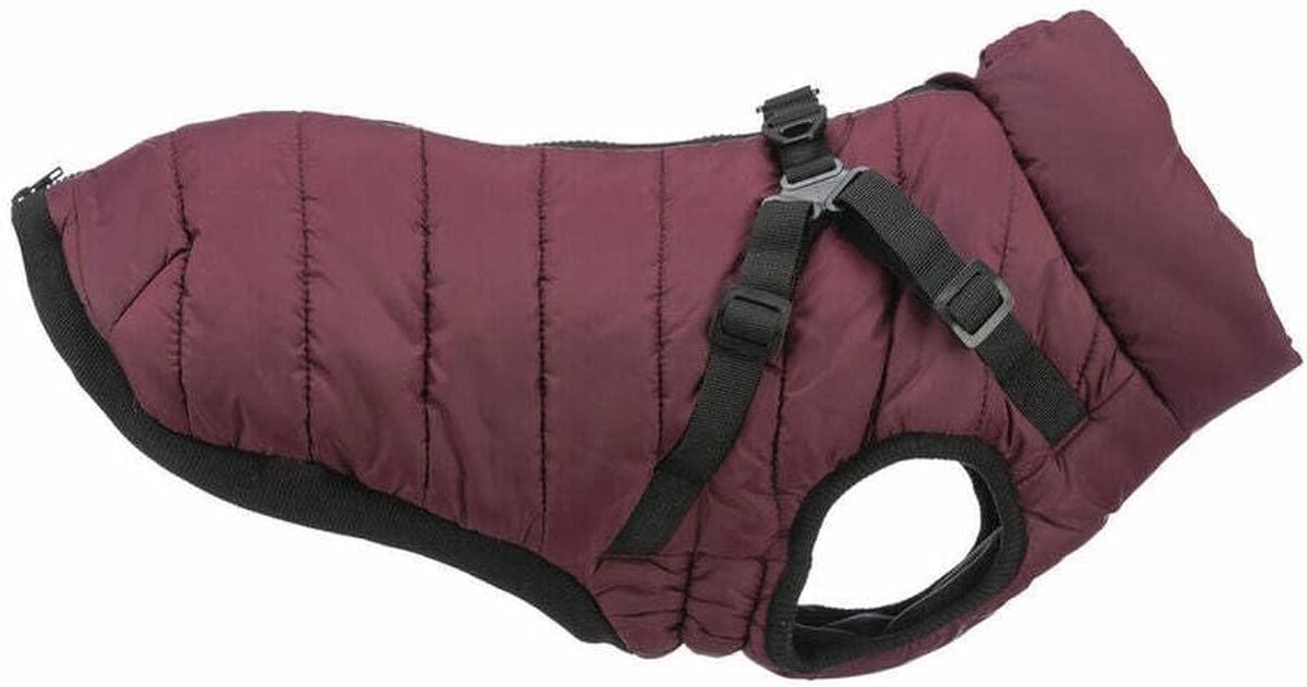 Hondenjas met Tuigje - Hondenvest Hondentrui - Hond Uitlaten - Waterafstotend - 36 cm - Sangria