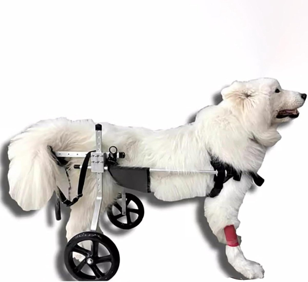 Hondenrolstoel - Huisdier mobiliteitshulp - Revalidatie training - Verstelbaar ontwerp - Maat M - Zilver