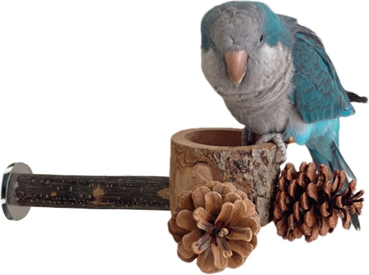 Vogel Zitstok - Vogel Speelgoed - Vogel Verrijking - Met Voederbak - 17 cm - Natuurlijk Hout