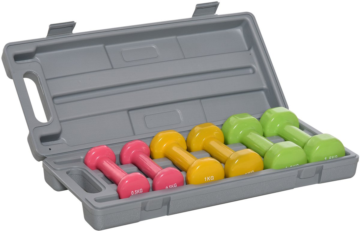 Een set van 6 halteren, met opslagdoos, met gewichten van respectievelijk 0,5 kg, 1 kg en 1,5 kg, gemaakt van staal en PU.