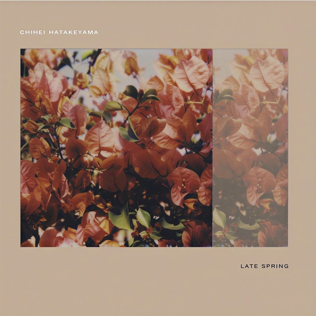 Chihei Hatakeyama - Late Spring (CD)
