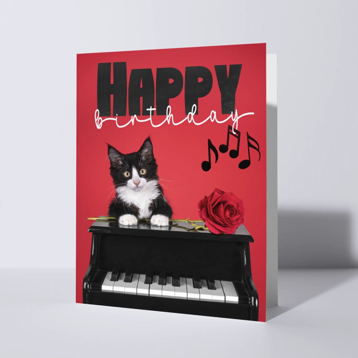 CAT'CHY Cards - wenskaart - verjaardag - kat - muziek