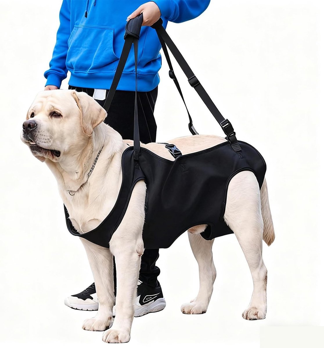 Verstelbare Hondenharnas met Gevoerde Leash voor Oudere en Gehandicapte Huisdieren, Geschikt voor Honden met Artritis, Zwart (L)