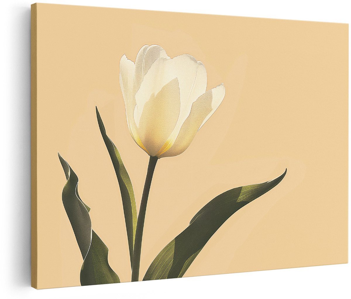 Artaza Canvas Schilderij Witte Tulp - 180x120 cm - Groot - Wanddecoratie Bloemen - Muurdecoratie Beige - Decoratie Woonkamer - Schilderijen Op Canvas