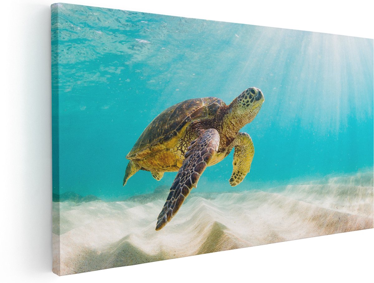 Artaza Canvas Schilderij Schildpad Zwemt in de Helder Blauwe Zee - 180x90 cm - Groot - Wanddecoratie Woonkamer - Schilderijen - Muurdecoratie