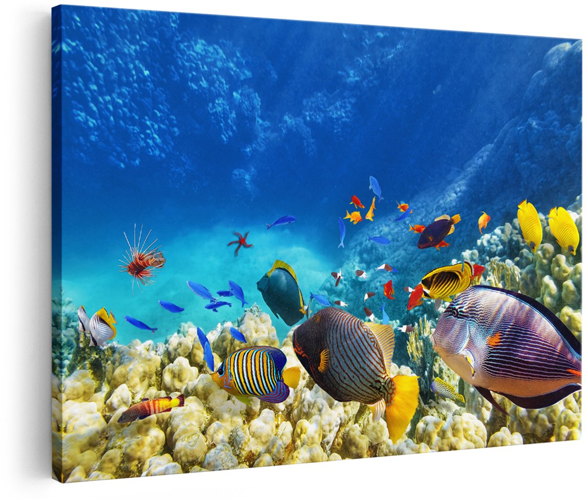 Artaza Canvas Schilderij Vissen in de Oceaan met Koralen - 180x120 cm - Groot - Wanddecoratie Woonkamer - Schilderijen - Muurdecoratie