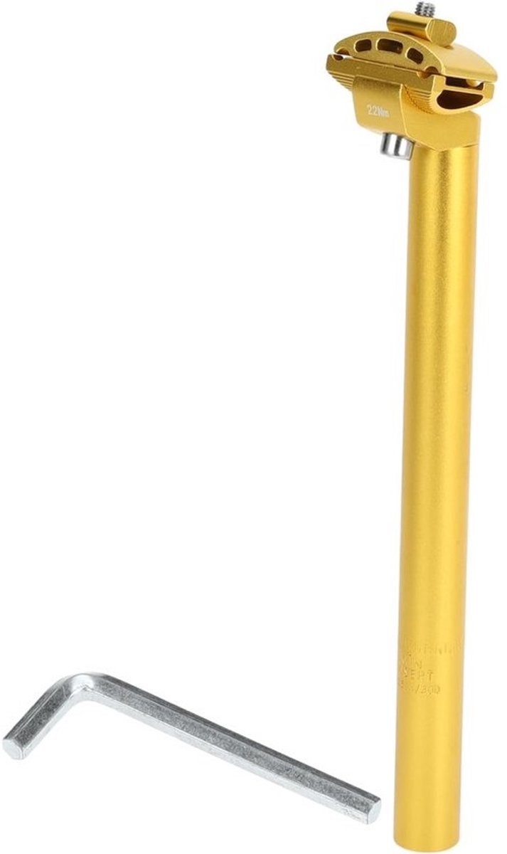 Fietszadel Pen - Zadel Ondersteuning - Comfortabel Fietsen - Verstelbare Hoek - 254 x 300 mm - Goudkleurig