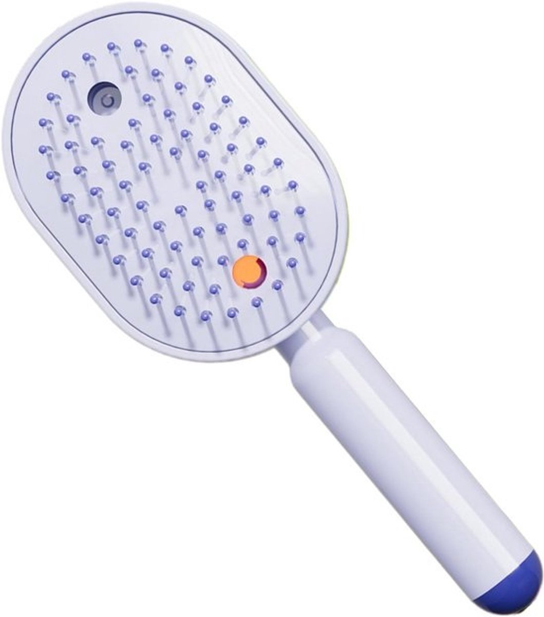 Elektrische Massagekam - Verwarmde Borstel Spray - Haar Styling - Met Verstuiver - 21.7 cm