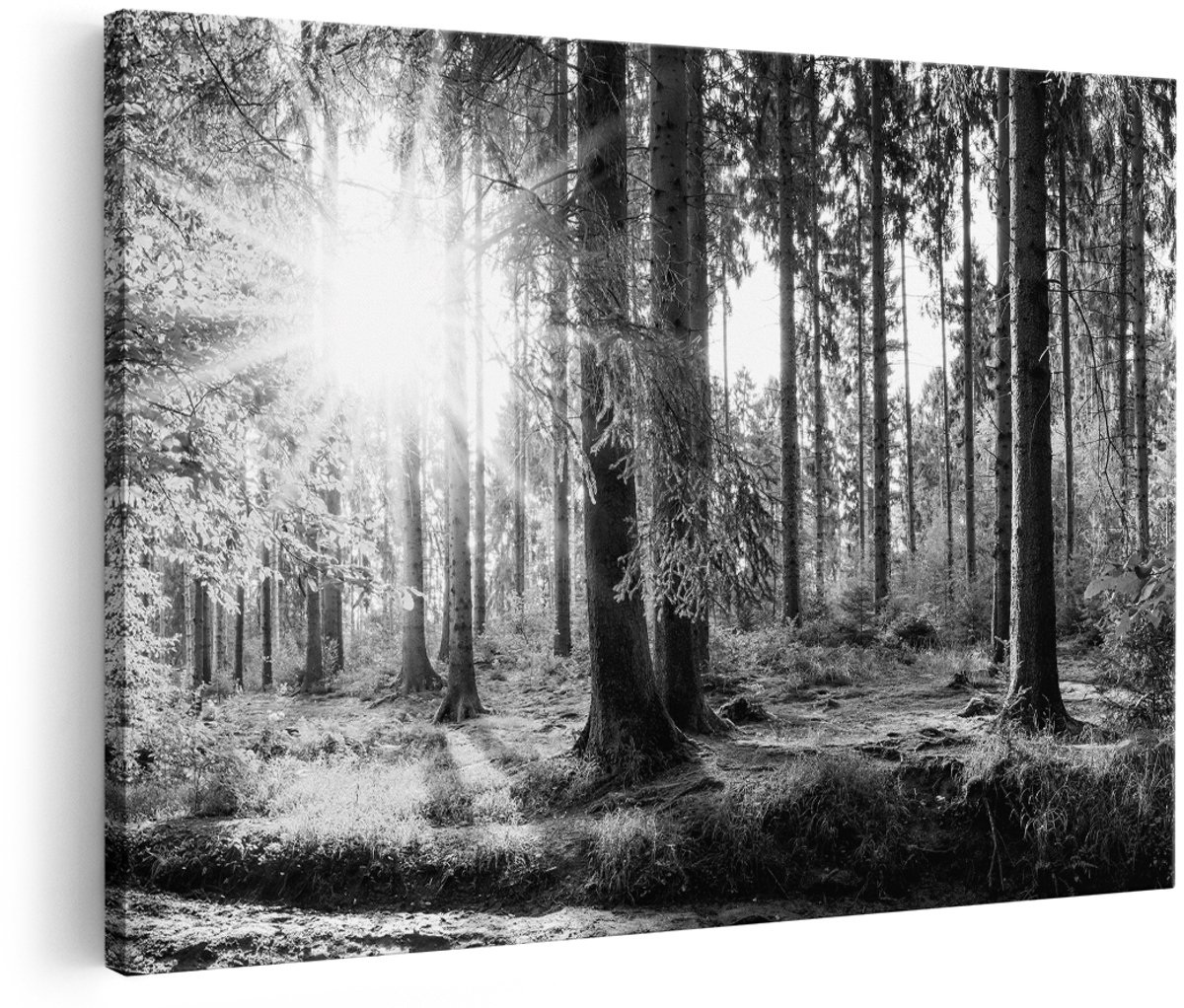 Artaza Canvas Schilderij Bos met Zon tussen de Bomen - Zwart Wit - 150x100 cm - Groot - Foto Op Canvas - Wanddecoratie Woonkamer