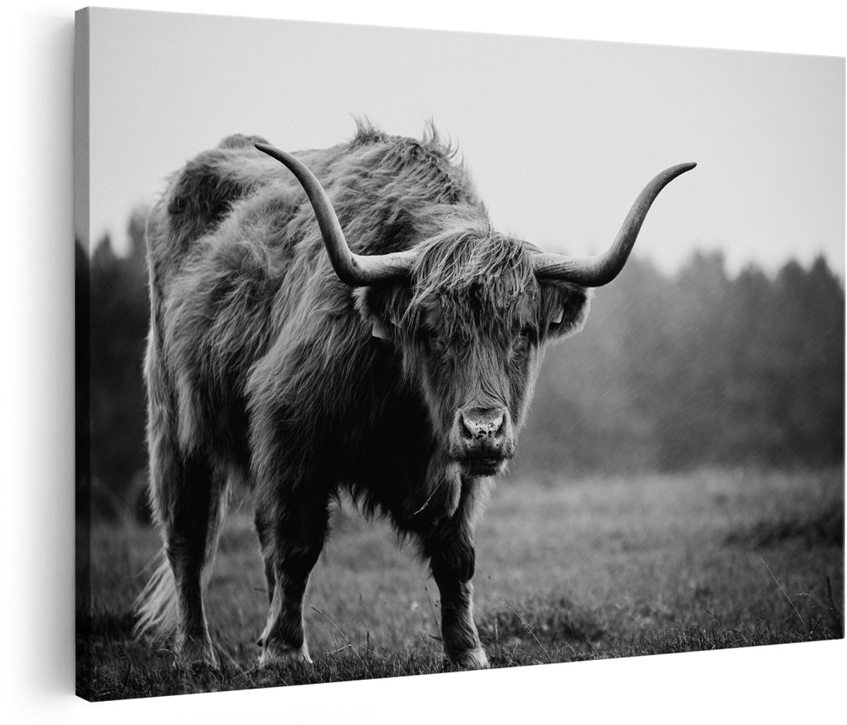 Artaza Canvas Schilderij Schotse Hooglander met Hoorns - Zwart Wit - 150x100 cm - Groot - Foto Op Canvas - Wanddecoratie Woonkamer
