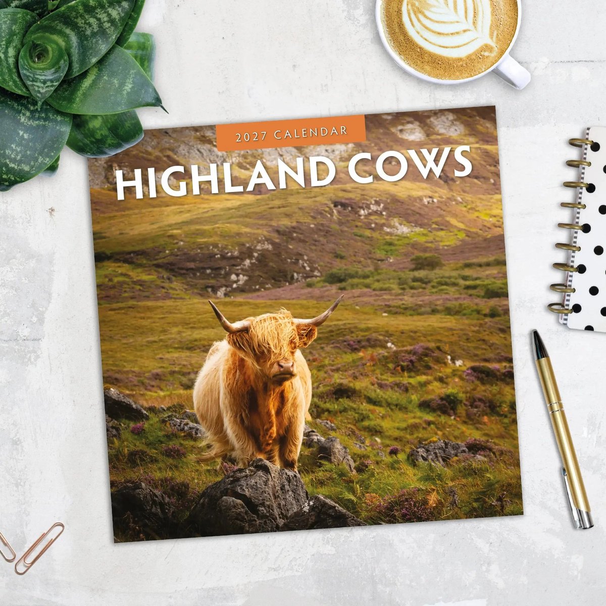 Schotse Hooglanders Kalender 2027