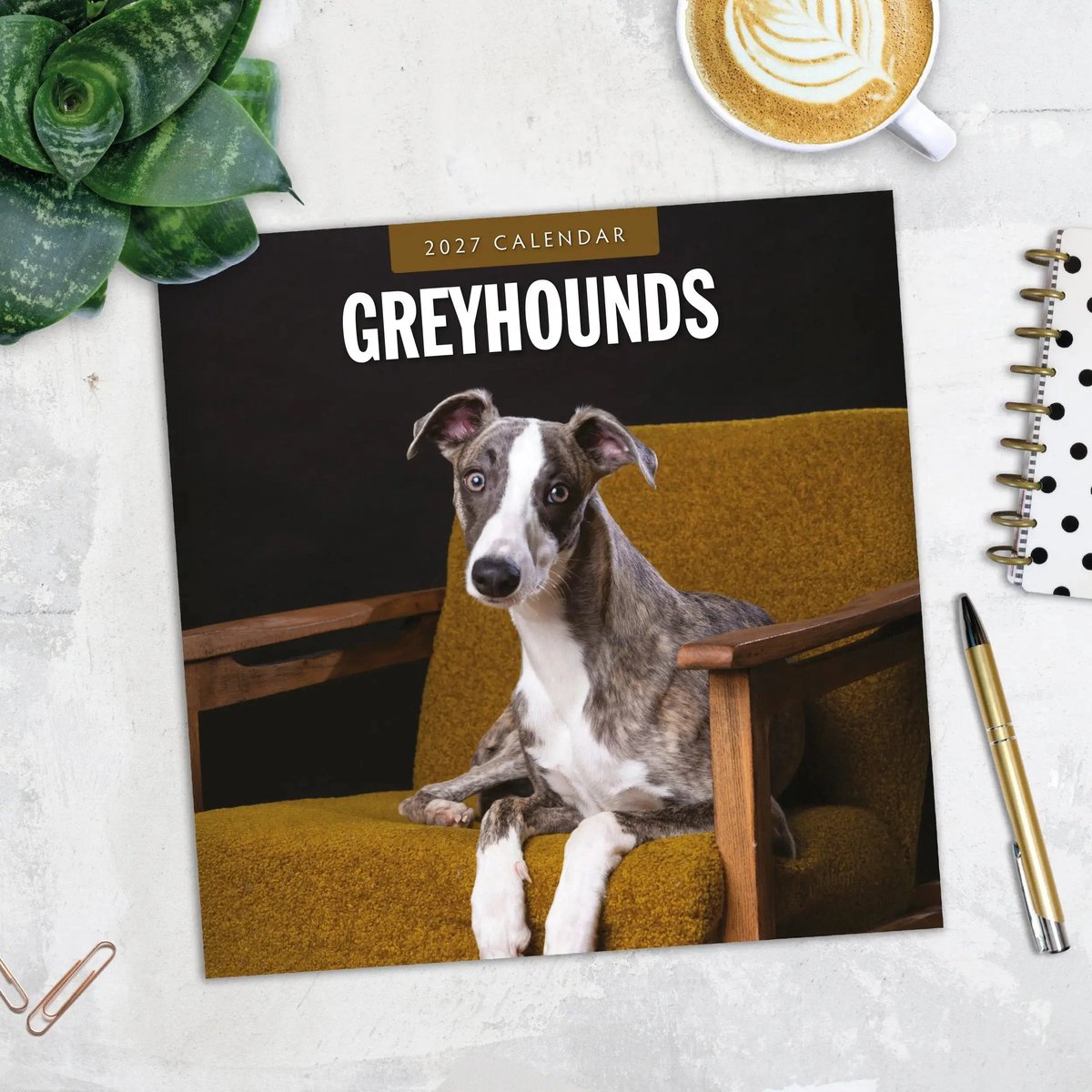Greyhound Kalender 2027
