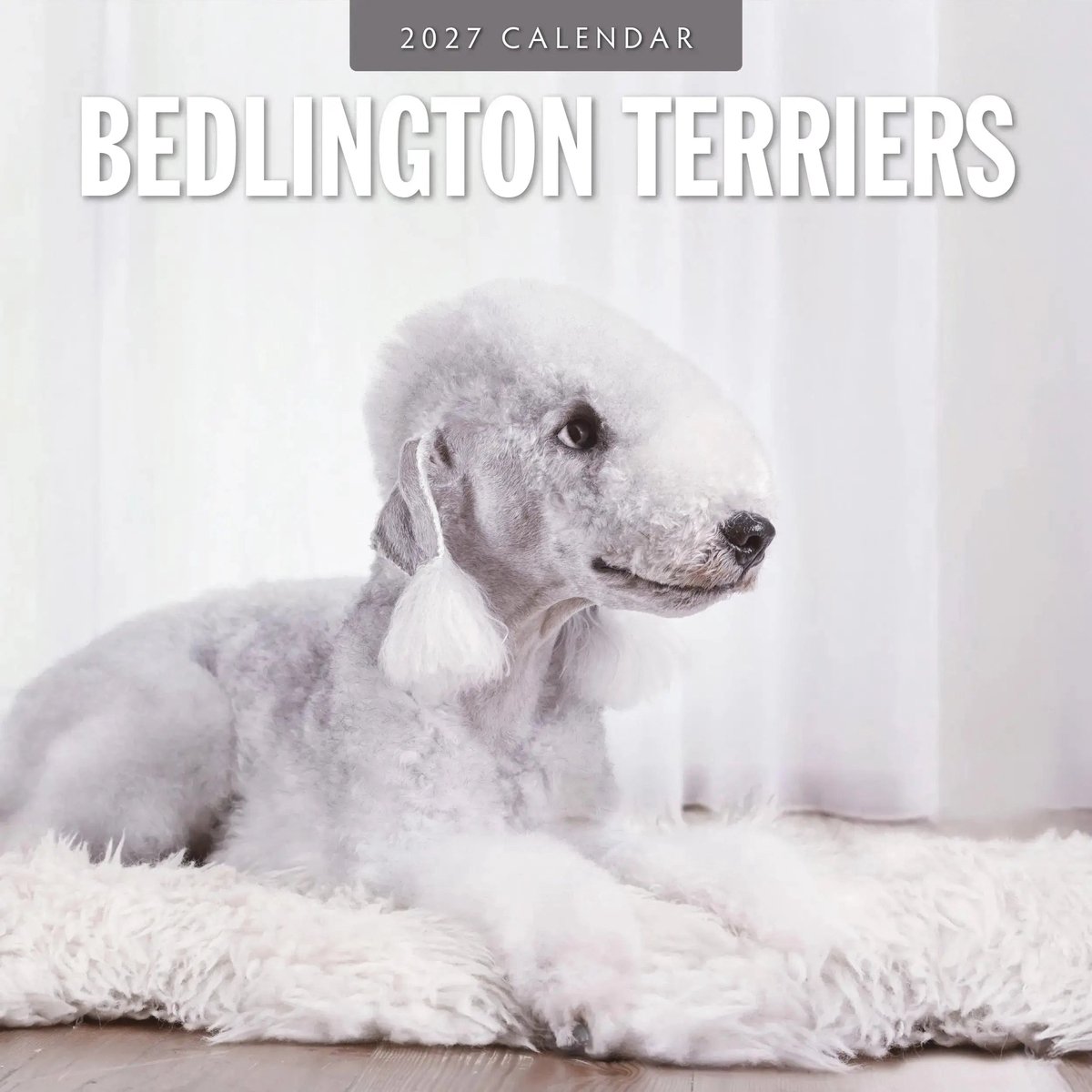 Bedlington Terrier Kalender 2027