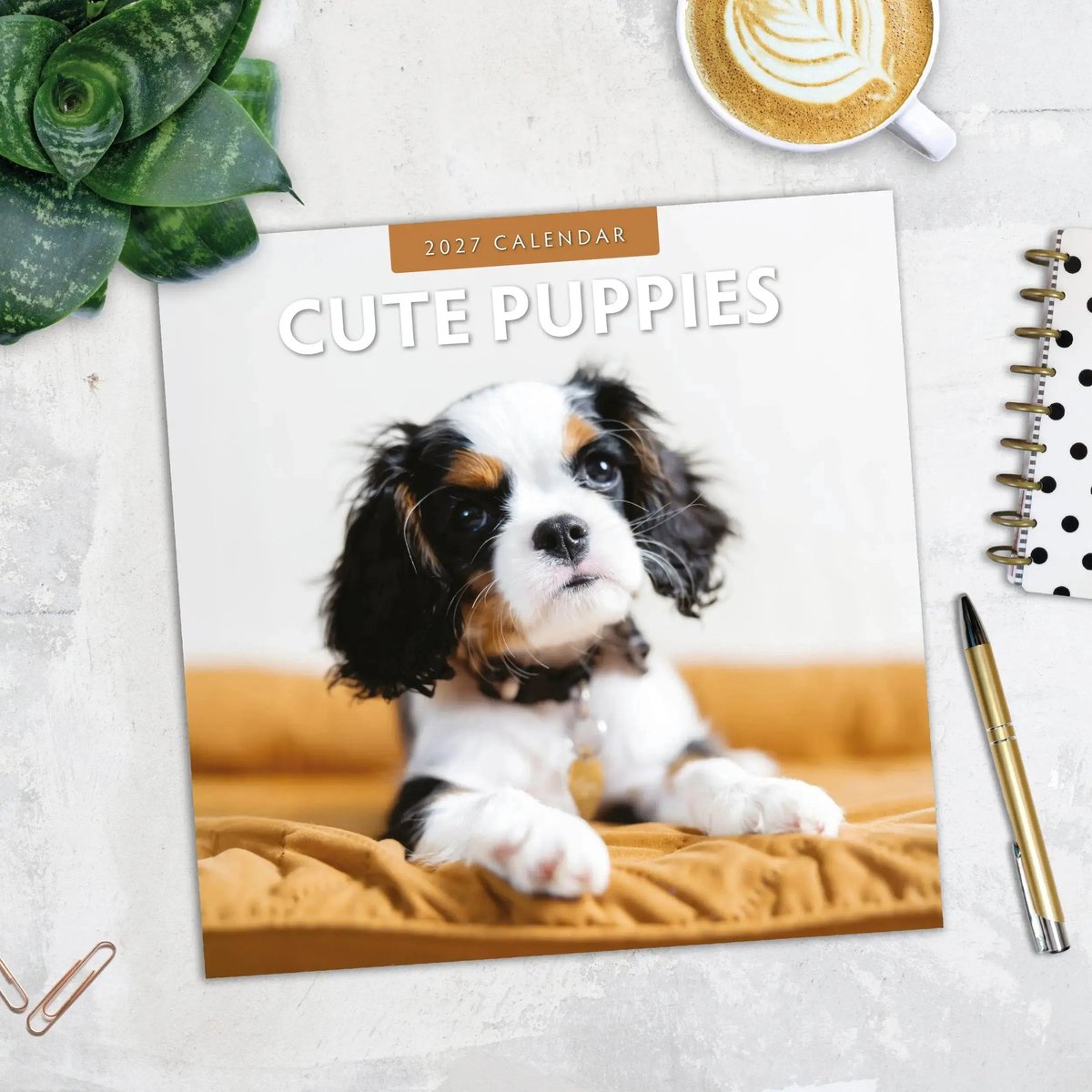Cute Puppies Kalender 2027