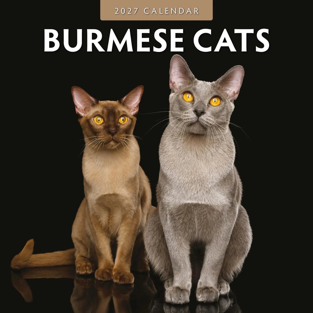 Burmees Kalender 2027