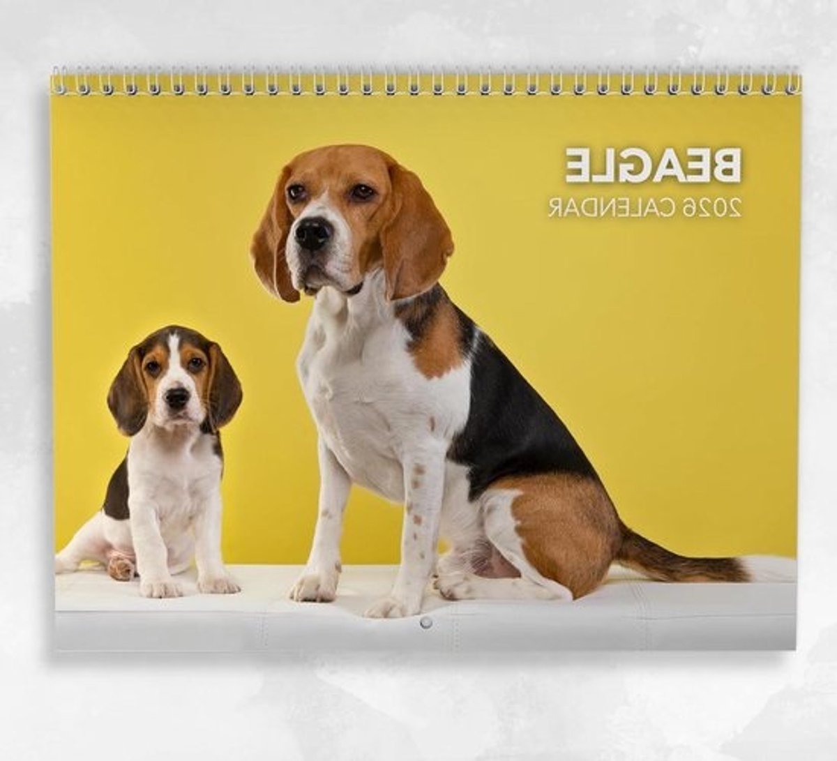 Beagle Kalender - Wandkalender Maandplanner - Organiseren van Afspraken - Ruim Notitiegedeelte - A4 - Full-color