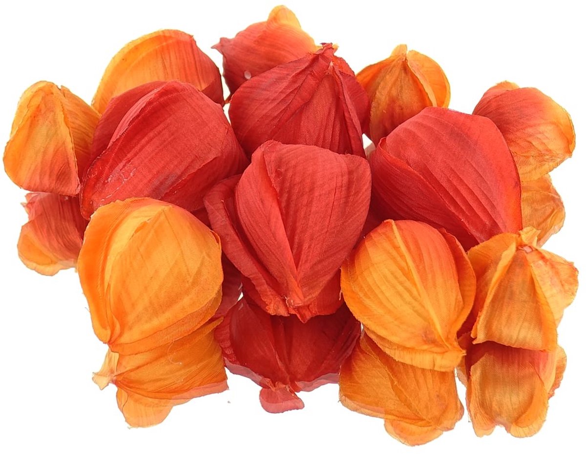 DPI Lampionplant Physalis Vruchten Oranje Ø 3 tot 5 cm - Kunstbloemen