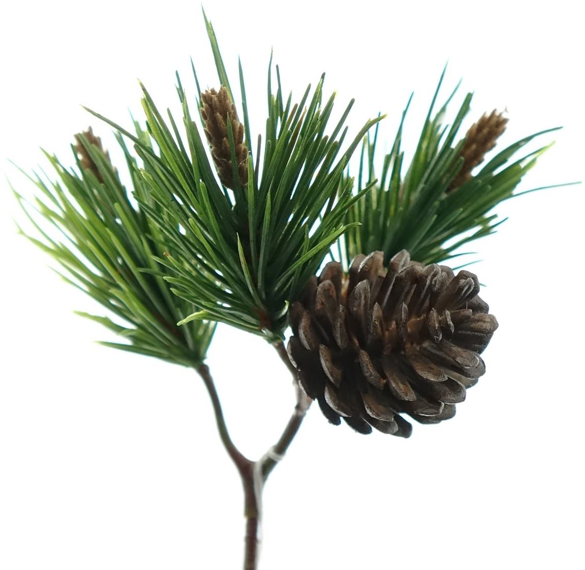 Gasper Dennentak Groen met Dennenappel 22 cm - Kunstplanten