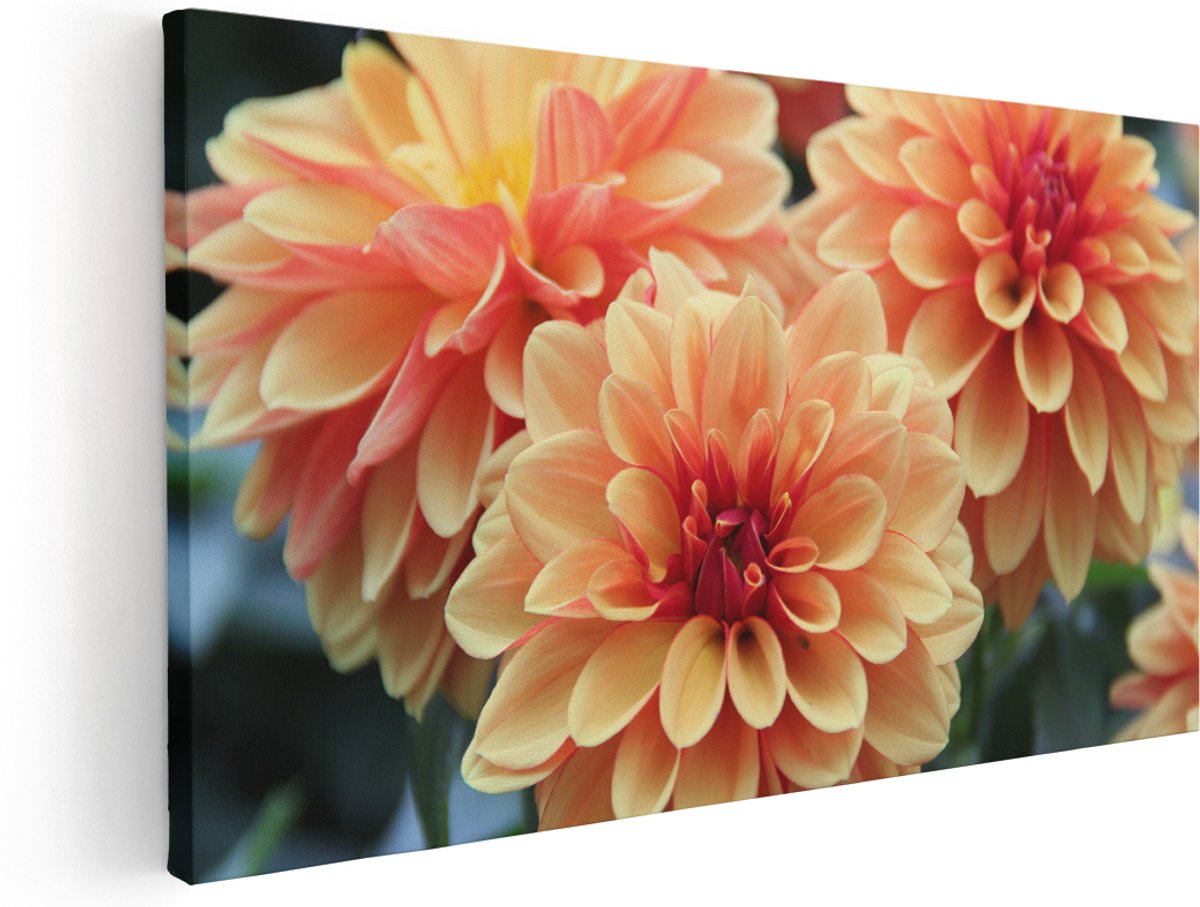 Artaza Canvas Schilderij Oranje Dahlia Bloemen - 160x80 cm - Groot - Wanddecoratie Woonkamer - Schilderijen - Muurdecoratie