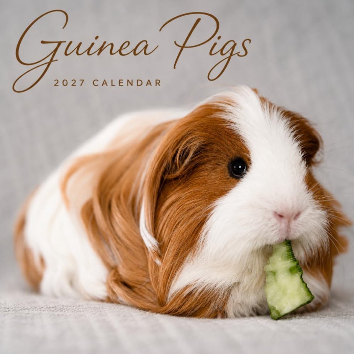 Guinea Pigs Calendar 2027: Guinea Pig Photography Collection - ShopVlot