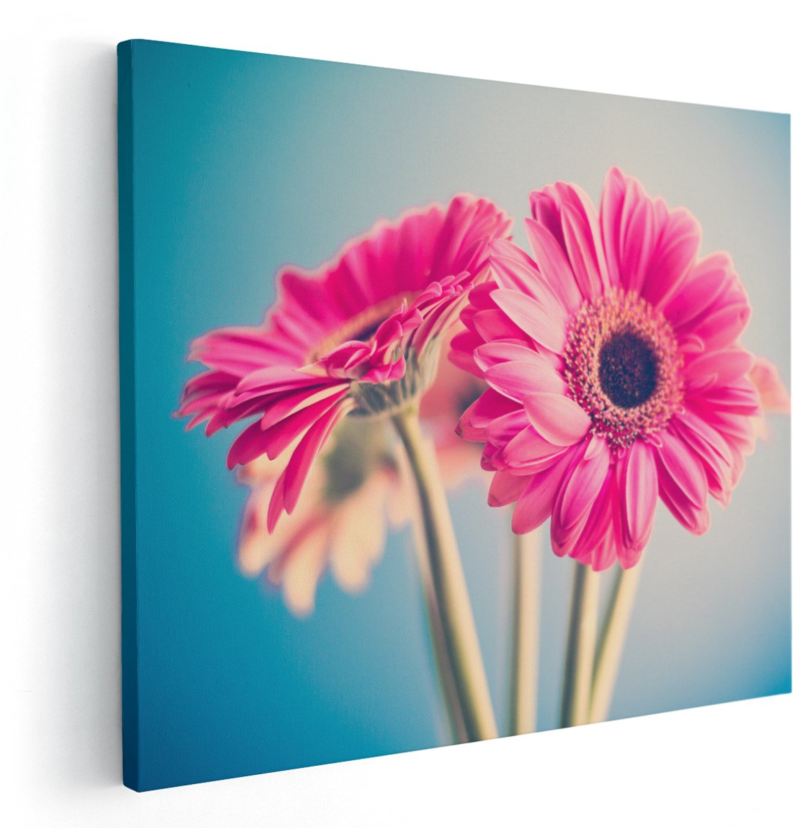 Artaza Canvas Schilderij Twee Roze Anjers - Bloemen - 150x120 cm - Groot - Wanddecoratie Woonkamer - Schilderijen - Muurdecoratie