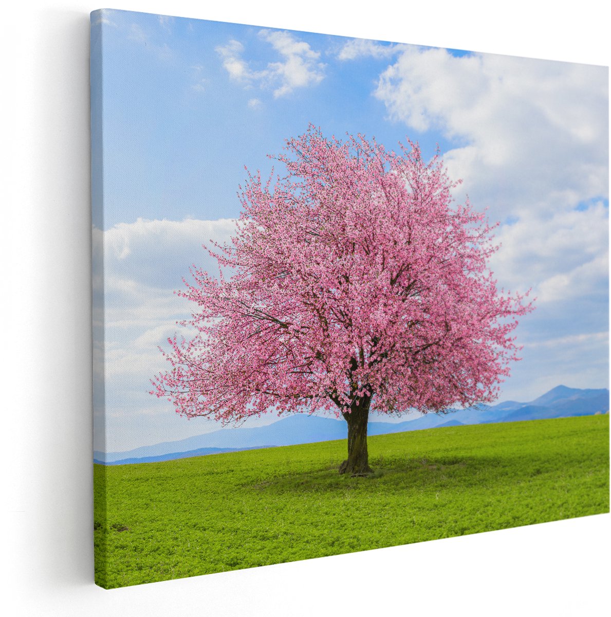 Artaza Canvas Schilderij Roze Sakura Bloesem Boom In Het Groene Veld - 150x120 cm - Groot - Wanddecoratie Woonkamer - Schilderijen - Muurdecoratie