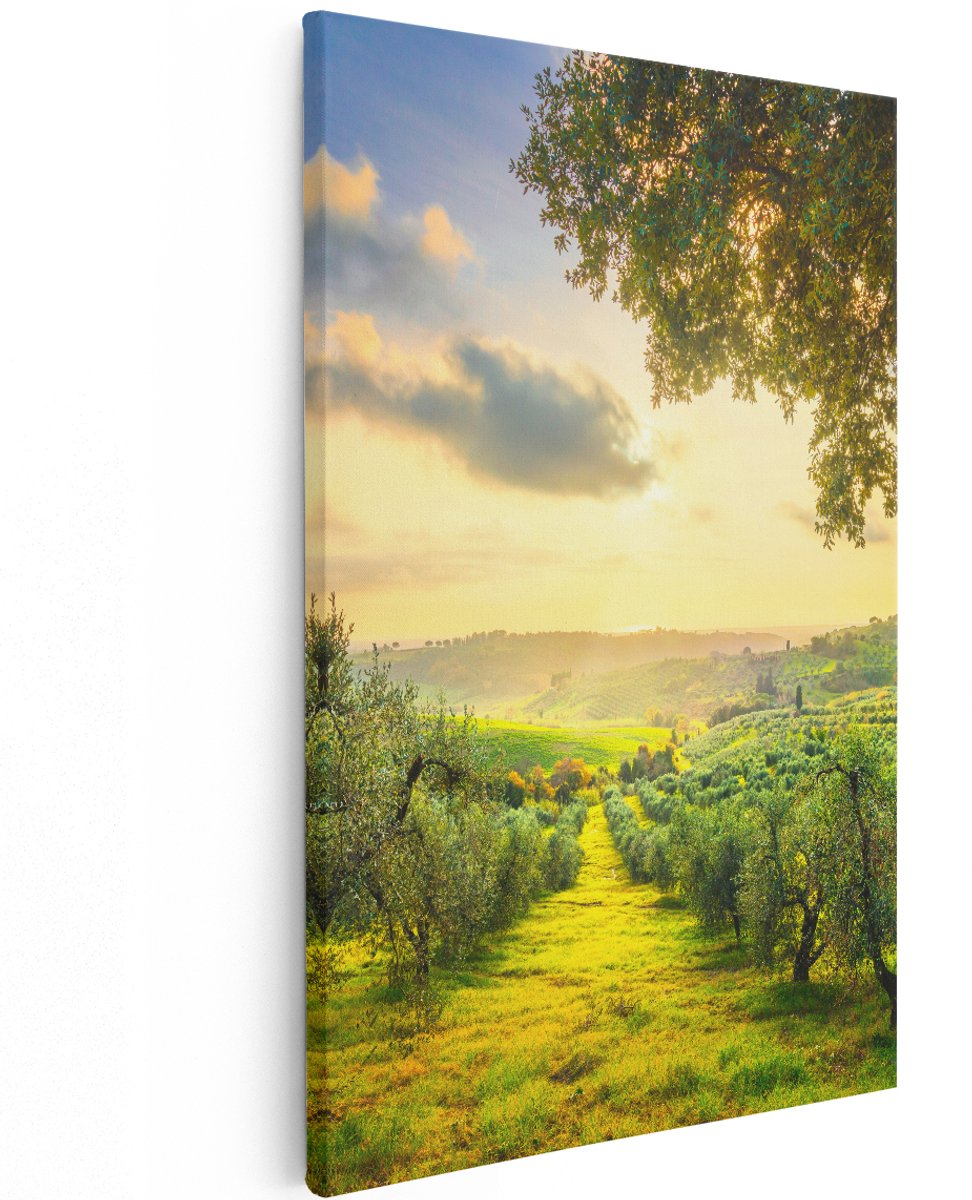 Artaza Canvas Schilderij Olijvenbomen - Olijvengaard - 120x180 cm - Groot - Wanddecoratie Woonkamer - Schilderijen - Muurdecoratie