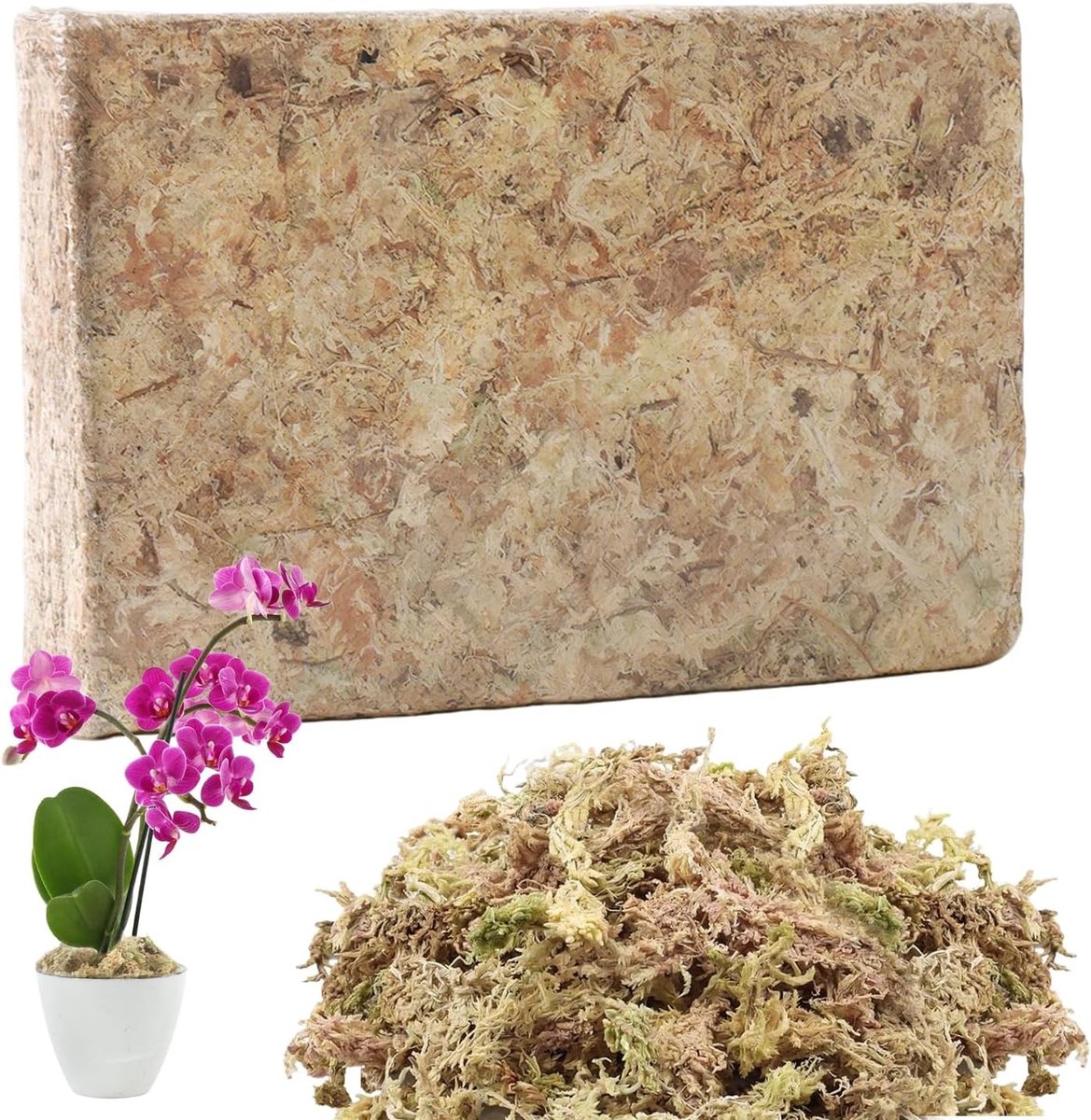 Sphagnum Mos voor Orchideeën en Kamerplanten, 400 g, Ademend Veenmos voor Optimale Wateropslag en Groei