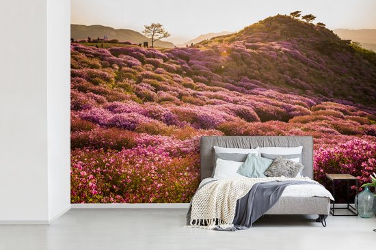 Papier peint photo peint photo vinyle - Paysage de bruyère vallonnée largeur 330 cm x hauteur 220 cm - Tirage photo sur papier peint (disponible en 7 tailles)