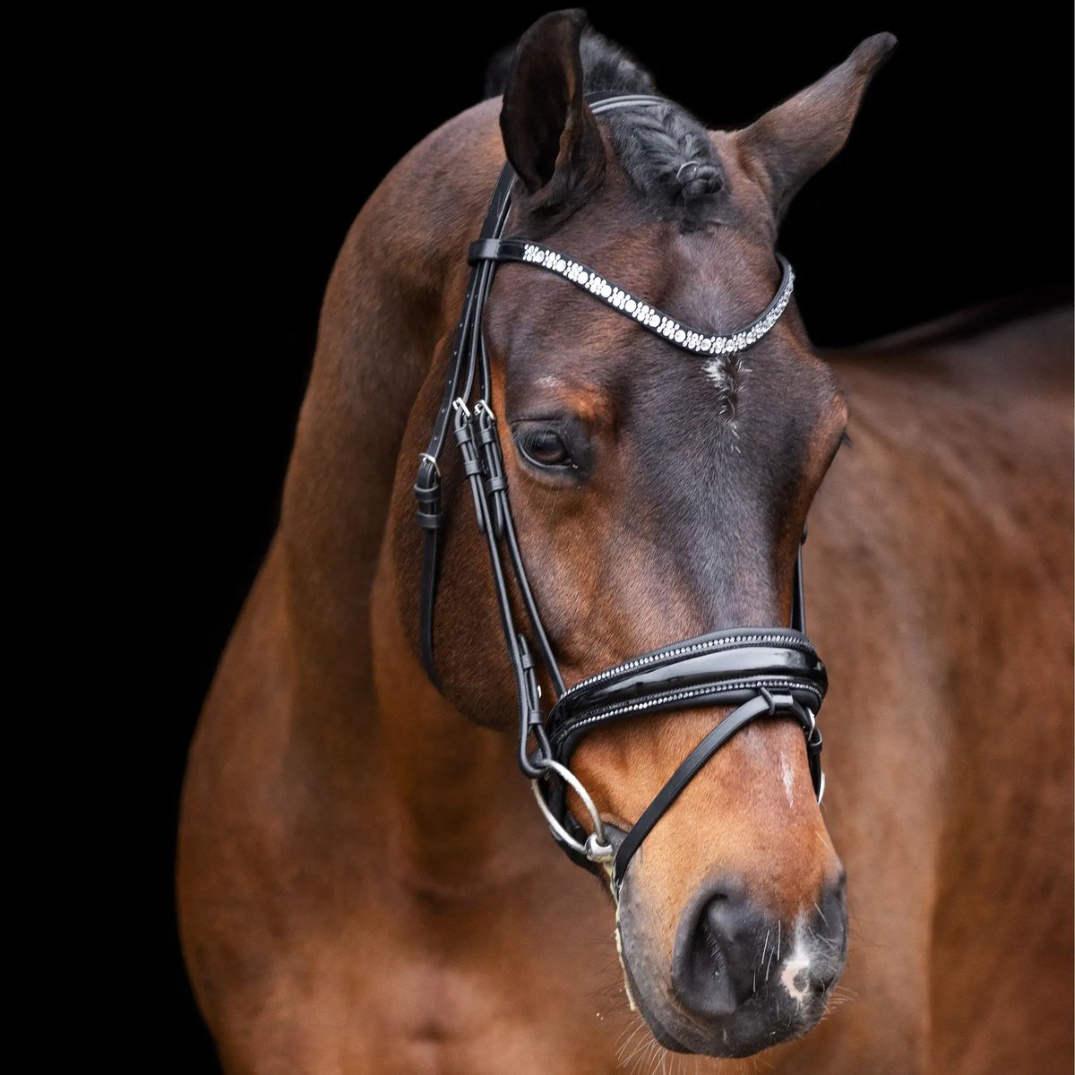 Hoofdstellen Imperial Riding Olympia