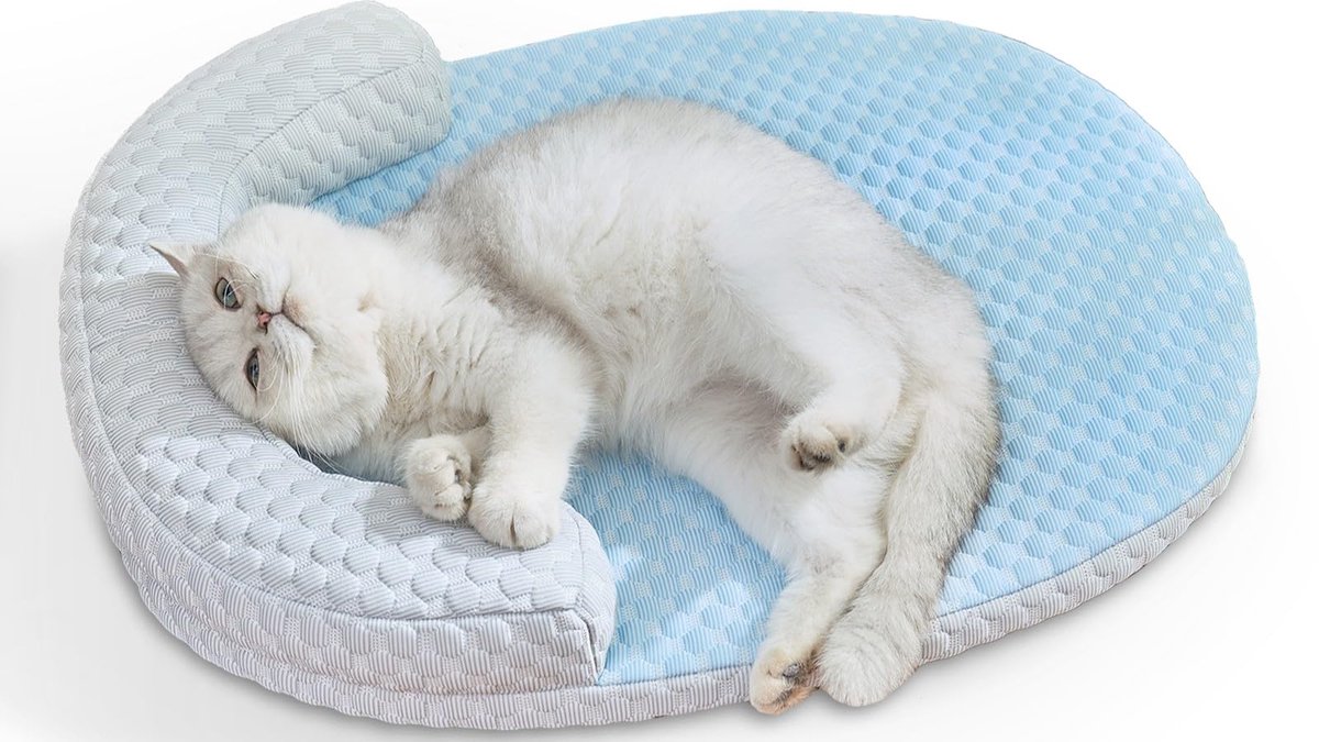 Cool Pet Mat - Kat koelbed met kussen, wasbare hond en kat koelmat voor binnen huisdieren antislip groot kattennest (60 x 45 cm, blauw)