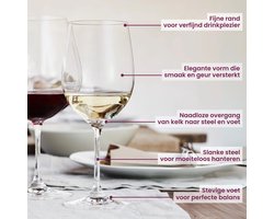 Riedel Vinum Burgundy (set van 2)