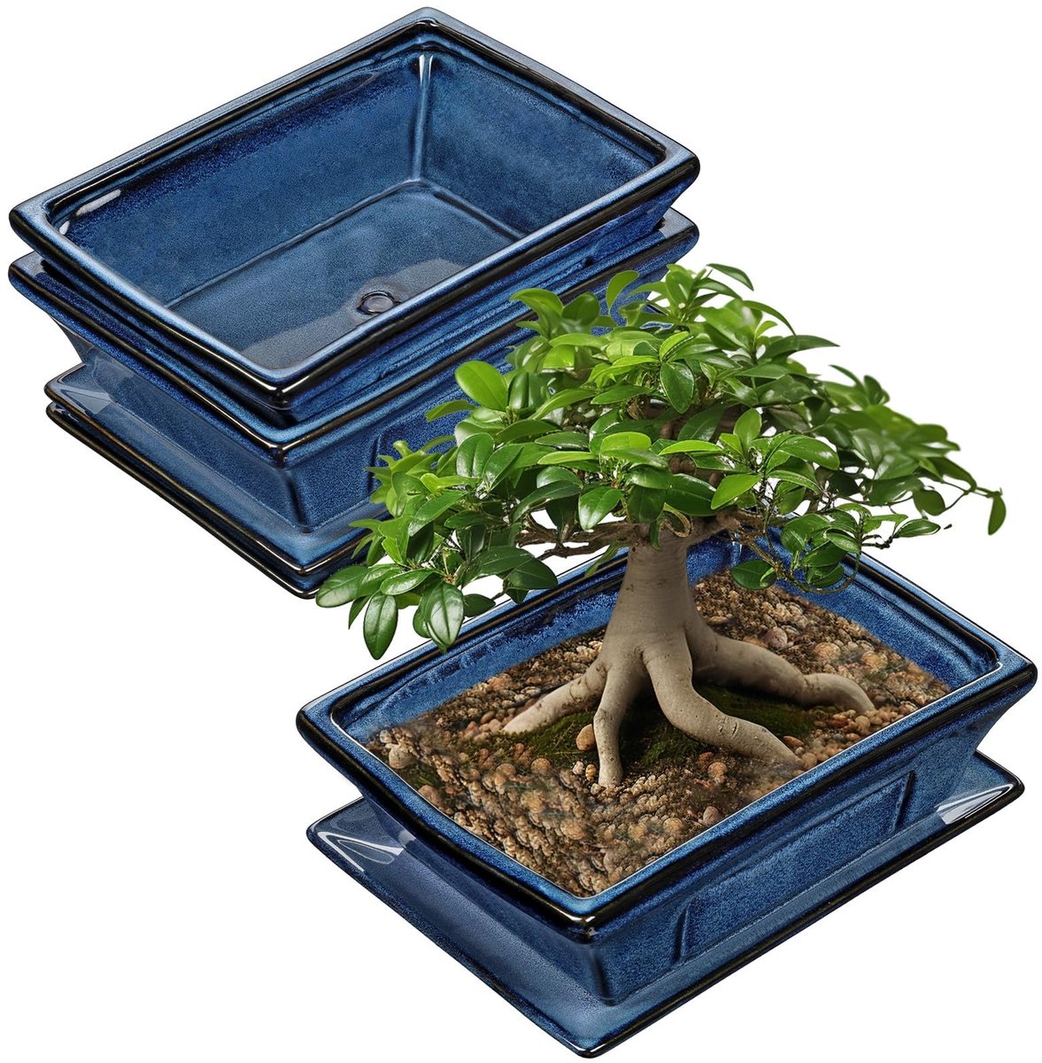 Dailygoods- Bonsai Pot - 2-delige Set - Keramisch - Onderzetter - Ontwateringsgaten - Diameter Opening 26 cm - Duurzaam en Weerbestendig - Plantenbak