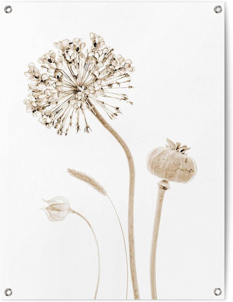 Tuinposter Droogbloemen - Buitenposter Bloemen - Tuin Decoratie - Weerbestendig Canvas - 80 x 60 cm - Beige