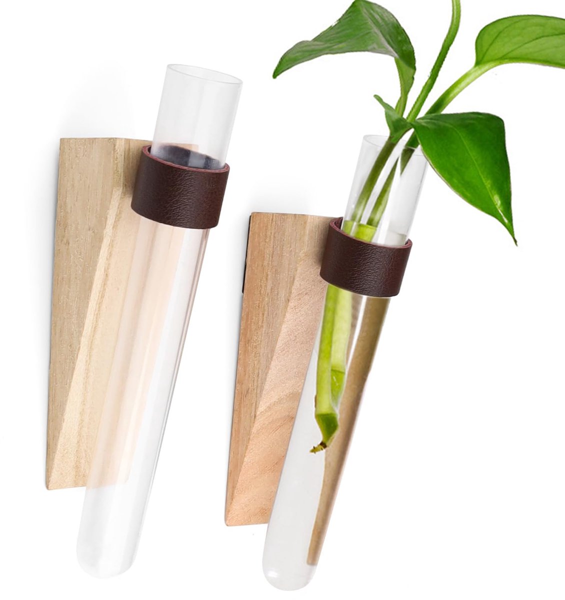 Dailygoods - 2 Stuks Testbuis Vaas voor Hydroponics Decoratie