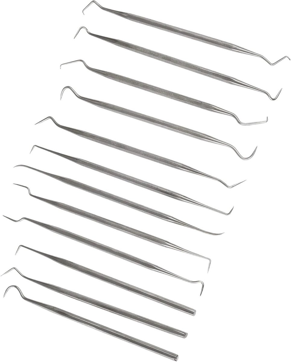 Roestvrijstalen Sonde Set - Klei Snijgereedschap - Wax Sculpturen Maken - Roestbestendige Constructie - 12 Stuks - Zilver