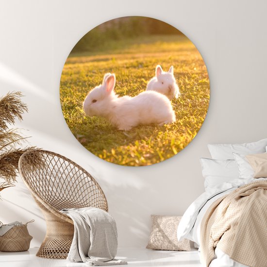 WallCircle - Wall Circle - Wall Circle Indoor - Lapins - Bébé - Wit - 140x140 cm - Décoration murale - Peintures Ronds