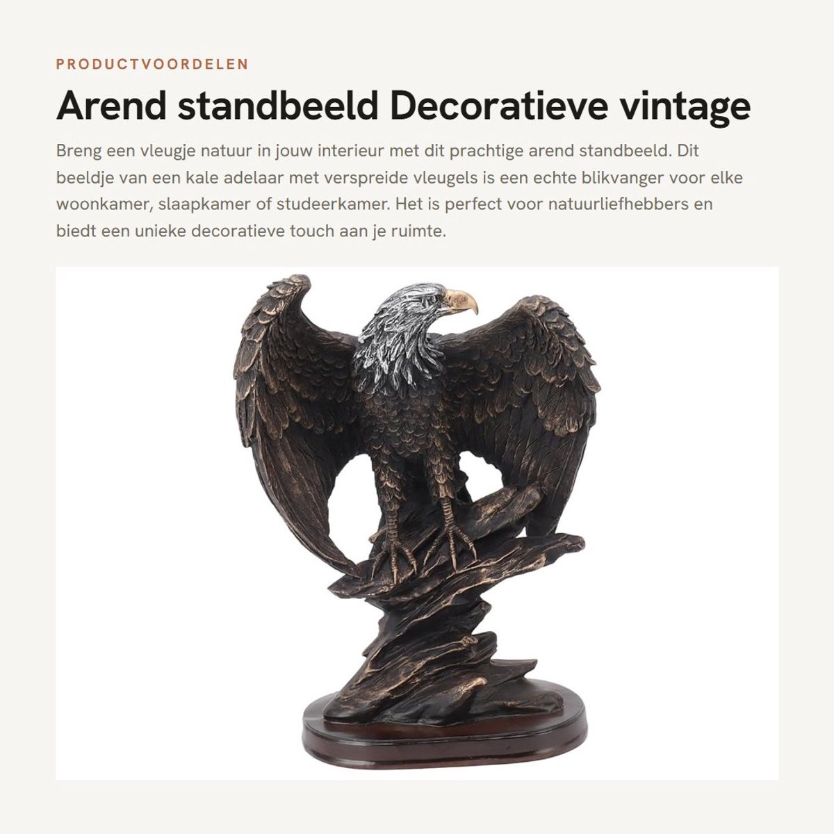 Dailygoods- Standbeeld Hars - Arend Beeldje - Decoratieve Sculptuur - Vintage Beeld - 15x10x24,5 cm - Voor Woonkamer/Slaapkamer