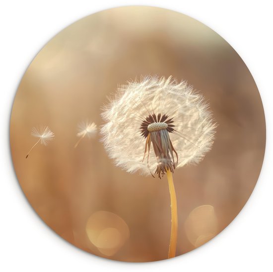Wandcirkel close-up van een paardenbloem, pluizen waaien weg. Zachte bruine achtergrond.