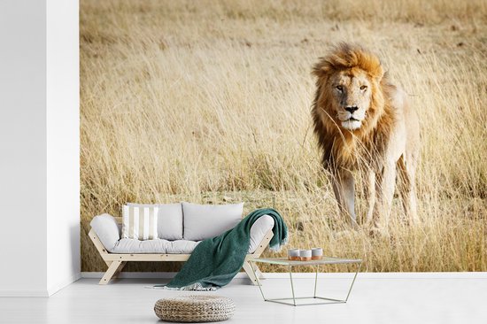 Papier Peint - Papier peint photo Lions - Afrique - Herbe - Largeur 360 cm x Hauteur 240 cm