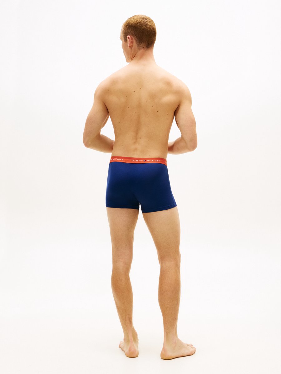 Tommy Hilfiger Underwear/Swimwear (PVH Group) - - Volwassenen - Onderbroeken